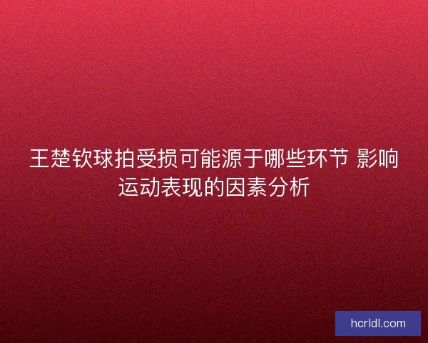 王楚钦球拍受损可能源于哪些环节 影响运动表现的因素分析